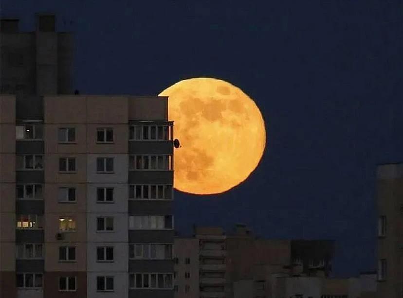 Ночью над Приморьем взойдёт «Осетровая Луна»🌔