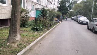 Баляева 40 утопает в мусоре!